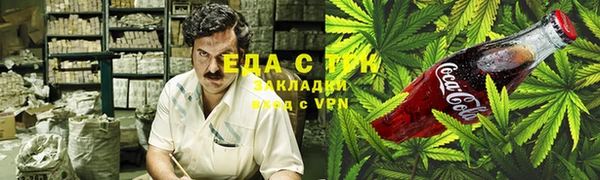 индика Богданович